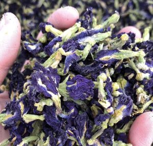 Trà Hoa Đậu Biếc Sấy Khô 100gr Nhà Trồng
