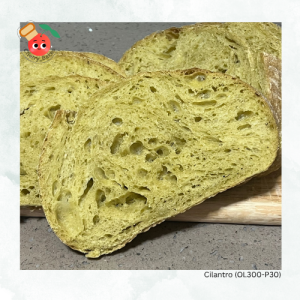 💯 Natural Yeast Cilantro Sourdough (OL300-P30)