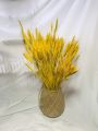 Bó khoảng 85 đến 95 Bông Lúa Mạch Màu Tài Lộc - Hoa Chưng Tết - Trang Trí Decor Xinh Xắn Và Độc Đáo/ Nhiều Màu Sắc Để Lựa Chọn. 