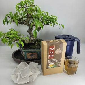 Trà Xạ Đen - Tuệ Quang - Giúp Ổn Định Huyết Áp Hạ Mỡ Máu Men Gan Thanh Lọc Cơ Thể - Hộp 50 lọc