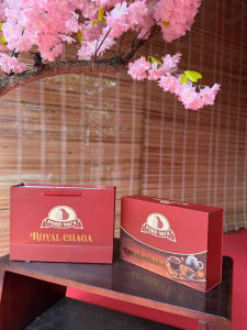 [QUÀ TẶNG BIẾU] HỘP NẤM CHAGA SẢN PHẨM ĐẶC TRƯNG NỘI ĐỊA NGA