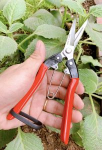 Kéo Tỉa Cây Cảnh Kéo Tỉa Mũi Nhọn Cây Bonsai Thép SK5 Siêu Bền và Sắc Bén