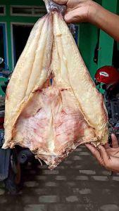 ikan asin jambal roti super ngeprul asli pangandaran 500 gram