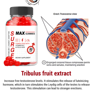 Power Health Gummies with Vitamin C & Collagen Reduce Anxiety Boost Immunity Strong Bones Joints Support Tasty Nutrition Supplement for Adults