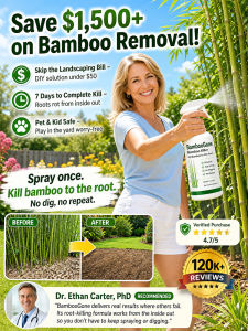 Antibacterial Spray/Disinfectant Spray/Plant Based Quick Spray/Car Interior Office Home Travel Use/For Daily Household Users