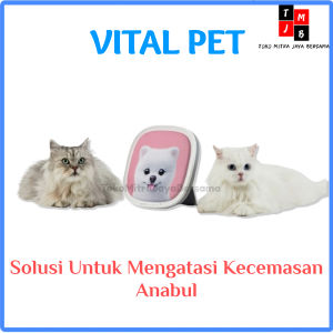 Perawatan Mental Anabul Membantu Meredakan Kecemasan Anjing kucing Vital Pet