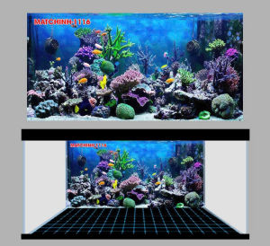 Tranh Dán Bể Cá Mẫu Tranh San Hô Mặt Chính Decal Có Keo Tiện Lợi Tặng Kem Tem Cánh Báo