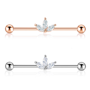 Phong cách kiểu thanh tạ công nghiệp hoa tai bằng thép không gỉ Bông tai công nghiệp có tính năng Zirconia thiết kế lá cho các bên