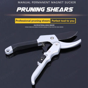 Direct Supply Tools For Horticultural Pruning Fruit Tree Pruning Flower Cutting And Branch Cutting