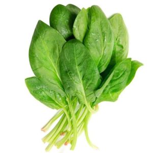 1000 เมล็ด ผักโขมใบเขียว เมล็ดผักโขมใบเขียว เมล็ดผักขม ผักขม ผักโขม เมล็ดผักขม เมล็ดผักโขม