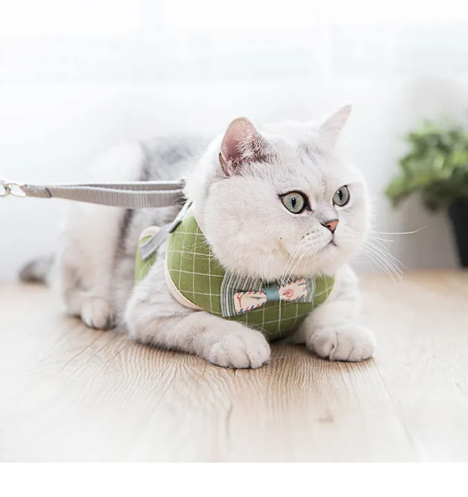 Korean%20Style%20Cat%20Harness%20with%20Leash%20Set%20Pet%20Walking%20Vest%20Lead%20Harness%20Adjustable%20Soft%20Mesh%20Kitten%20Puppy%20Small%20Dogs%20-%20Image%208