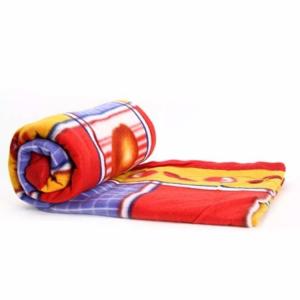 [HCM] Mền Nỉ Siêu Nhẹ Thích Hợp Mọi Thời Tiết 1.7 x 2m( Ngẫu nhiên)