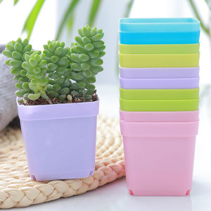 7pcs Plastic Succulent Plant Pot Small Square Flower Pot /Indoor and Outdoor Colorful Flower Pots for Cactus