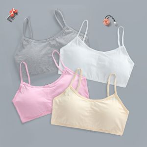 Bộ 4 áo lót nữ học sinh cấp 1 cấp 2 cấp 3 dây nhỏ không gọng mút xốp tháo rời mềm mại kín đáo thích hợp mặc cùng đồng phục trắng