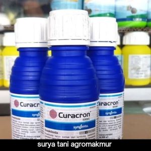 INSEKTSIDA CURACRON 500Ec 100ml/250ml