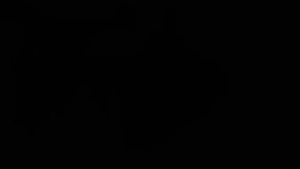 Piccasso 238 Medium Eyeshadow Brush Smudge Brush Contour Brush Makeup Brush