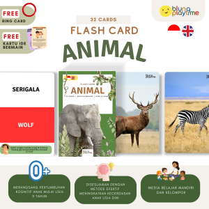 Flash Card - ANIMAL - Kartu Belajar Edukasi Anak -Wipe & Clean- Free Ring & Kartu Ide Bermain