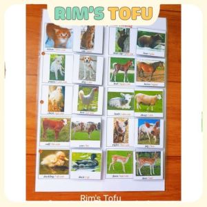 Học liệu bóc dán chủ đề Con vật và mẹ của chúng - đồ chơi giáo dục sớm Montessori