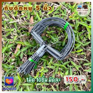 กับดักหนู 5 นิ้ว กับดักหนูนา กับดักหนูเวียดนาม กับดักเกือกม้า กับลาว กับตีหนู กับดักวงเดือน