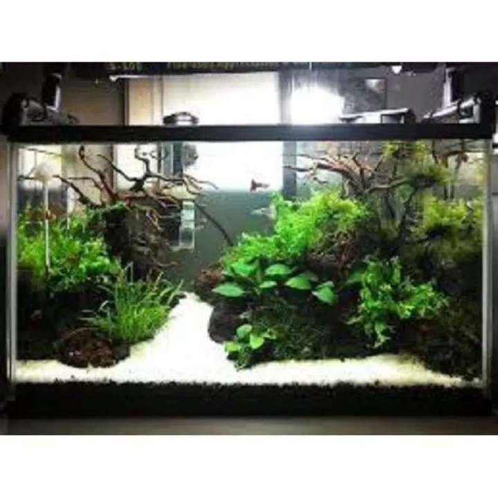 PASIR%20SLICA%20PUTIH%201KG%20%20HALUS%20PASIR%20AQUASCAPE%201%20KG%20SILIKA%20PASIR%20SLIKA%20PUTIH%20PASIR%20AQUARIUM%20-%20Image%204