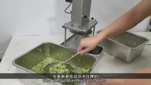 Commercial Electric Vegetable Dehydrator & Wine Slag Separator Machine Stainless Steel Dumpling Filling Water Extractor Multi-Functional Food Processing Equipment for Fruits Herbs Drying
