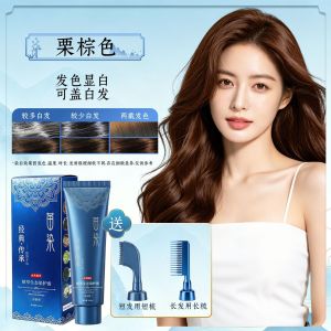Dual Brush Head Easy Dye Comb Quick Application Professional Hair Dye Tool