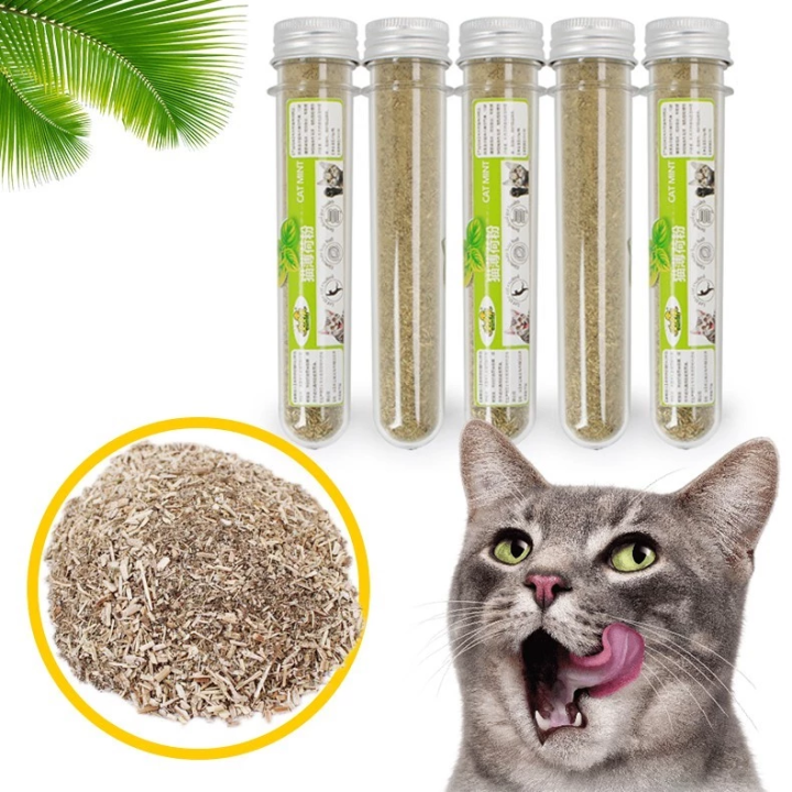 C%E1%BB%8F%20M%C3%A8o%20Catnip%20B%E1%BA%A1c%20H%C3%A0%20t%E1%BB%B1%20nhi%C3%AAn%20Gi%C3%BAp%20gi%E1%BA%A3m%20stress%20cho%20m%C3%A8o,%20ti%C3%AAu%20b%C3%BAi%20l%C3%B4ng,%20gi%E1%BA%A3m%20h%C3%B4i%20mi%E1%BB%87ng,%20th%C6%B0%20gi%E1%BA%A3n%20-%20Image%207