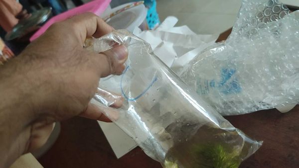 Buyer review video 5