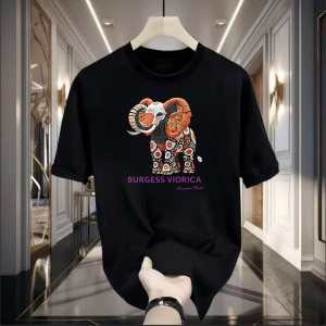 LC.TRADING  เสื้อยืดลายช้างยอดฮิต ทรงดี พิมพ์ลายสไตล์เกาหลี สินค้าขายดี มีหลายไซร์หลายขนาดให้ได้เลือกใส่ ส่งด่วน B0207