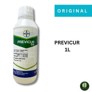 Bayer PREVICUR 840 (1L) Racun Kulat Lecuh Anak Benih Busuk Buah Kulapuk Downy Buah Busuk Mati Benih Fungicide Downy Mildew Rotten Fruit 立枯病 烂果 霜霉病 死树