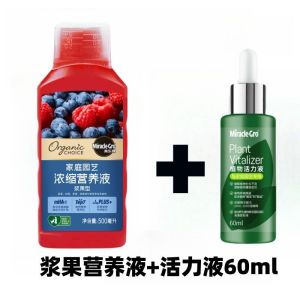 强效【官方】美乐棵浆果蓝莓树莓果苗葡萄樱桃车厘子盆栽有机营养液专用肥料