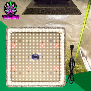 LED GROW LIGHT ไฟปลูกต้นไม้ ชิปSamsung LM301H 1000W เต็มสเปกตรัม ไม่กลัวฝนและหมอก แสงดี ฮู้ดสะท้อนแสงสูง