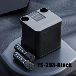 AKZ Wireless Bluetooth Dual Microphone Karaoke Speaker Home KTV Audio Set Indoor Outdoor Family Christmas Birthday Party