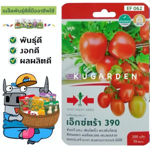 SORNDAENG 🇹🇭 ผักซอง ศรแดง S062# มะเขือเทศ เอ็กซ์ตร้า 390 F1 East-West Seed เมล็ดพันธุ์ผัก เมล็ดพันธุ์ ผักสวนครัว