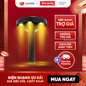 Combo 2 Đèn LED Solar NLMT Năng Lượng Mặt Trời Chiếu Sân Vườn ECO SGL03 ĐM (100lm đổi màu Chống nước IP65 tấm pin tích hợp)