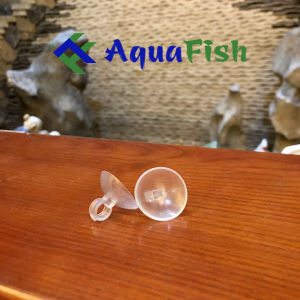 [HOÀN TIỀN 10%]Giác mút cao su dùng để giữ dây sủi dùng cho bể cá trong nhà ( loại tròn )