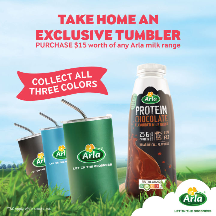 Arla Protein Chocolate Flavoured Milk Drink 500G Lazada Singapore
