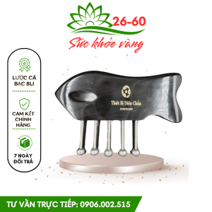 Lược 5 Chân Bạc Ta Chuẩn Y Tế – Chải Thông Kinh Lạc Trục Hà .giài Cảm - Dụng Cụ Diện Chẩn