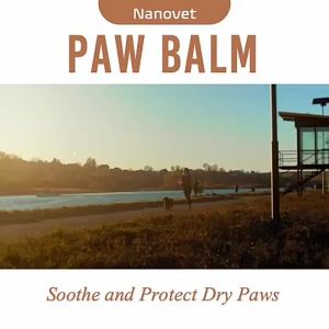 Nanovet  Paw Balm for Cat and Dog - 50 Gram