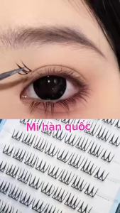 Mi Giả Hàn Quốc 504 Độ Dài 8-11mm Chất Liệu Mi Giấy Mỏng Nhẹ 10 Hàng GREEN Thủy Mi