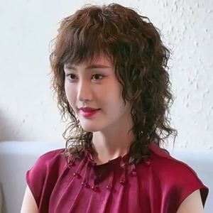 Silk Top Real Human Hair Full Wig for Middle Aged Elderly Women Natural Daily Fashion Wig