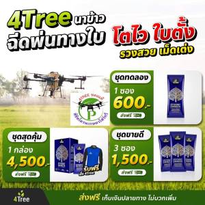 โฟร์ทรี 4Treeของแท้ 1 กล่อง 10 ซอง 200 ไร่+เสื้อ 1ตัว สารเสริมประสิทธิภาพพืชสูตรอิออน นวัตกรรมใหม่จากประเทศอิสราเอล ช่วยเร่งราก โตเร็ว เขียวนาน ลดต้นทุน เพิ่มผลผลิต ใช้ได้กับพืชทุกชนิด ของแท้100%