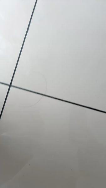 Buyer review video 2