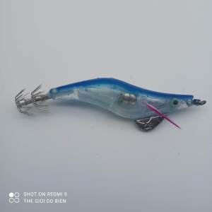 Tôm điện  có đèn bên trong phát sáng câu mực và cá biển hiệu quả