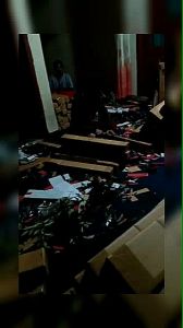 Bibit mangga lalijiwo mangga lalijiwa mangga manalagi okulasi mangga lali jiwa mangga lali jiwo