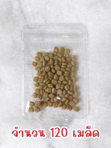 เมล็ด โสนใหญ่  โสนหลวง 120 เมล็ด