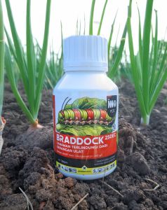 BRADDOCK - SOLUSI TEPAT UNTUK HAMA ULAT GRAYAK PADA TANAMAN