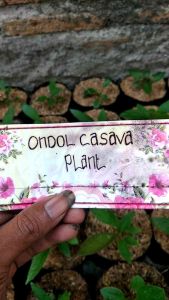 Antorium Germani: Material Tahan Lama untuk Desain Modern