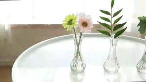 透明玻璃花瓶 简约玻璃瓶 Transparent simple glass vase Nordic Home Office Display Deco Flower Glass Vase Pasu Kaca Flower Pot