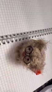 【Ship in 24H】3cm Iron Wire Glasses BlackGlasses Ddung Small Glasses Rim craft Puppy Bear Doll DIY